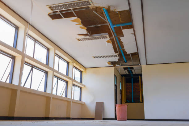 Best Water damage restoration experts  in Greenwood Lake, NY