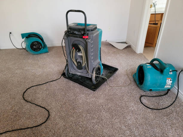 Best Flood restoration services  in Greenwood Lake, NY