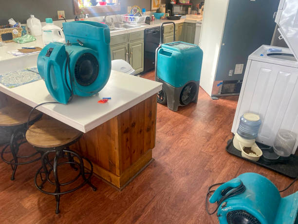 Best Water damage cleanup near me  in Greenwood Lake, NY