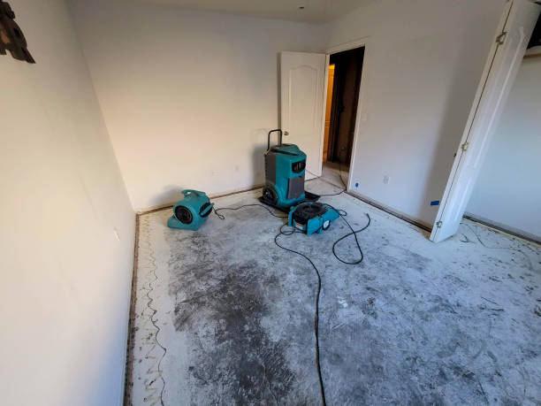 Best Professional water damage repair  in Greenwood Lake, NY