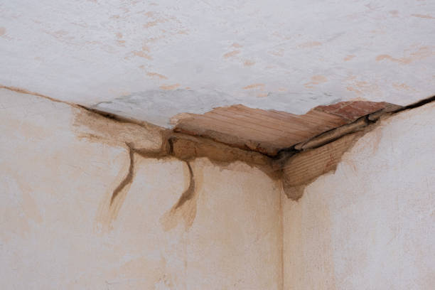 Best Residential water damage restoration  in Greenwood Lake, NY