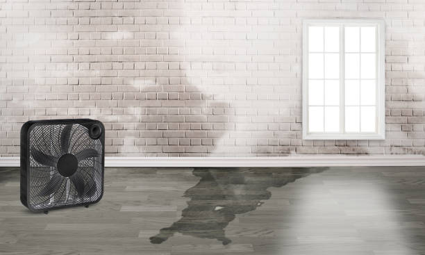 Best Commercial water damage restoration  in Greenwood Lake, NY