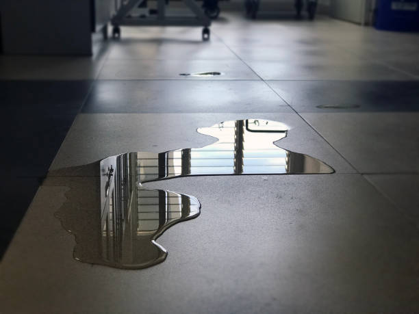 Best 24-hour water damage restoration  in Greenwood Lake, NY